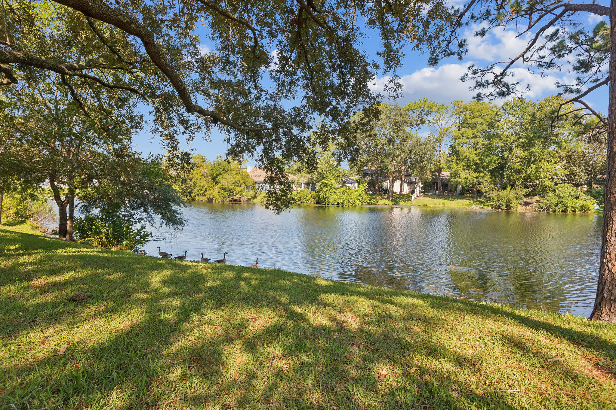 a lake with trees and grass in the background at The Vista Bay